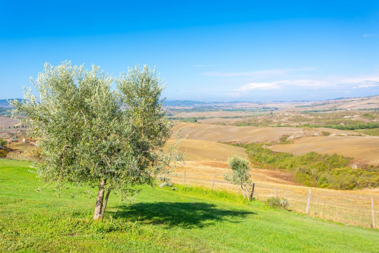 Villa Podere Belvedere Siena Exteriör bild